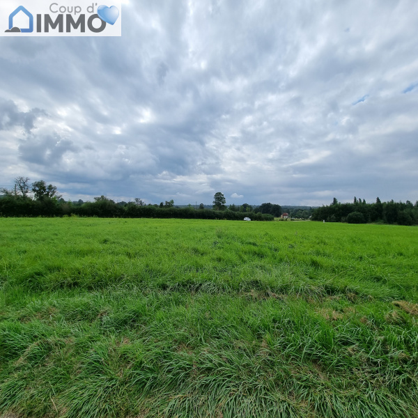 Offres de vente Terrain Chaource 10210