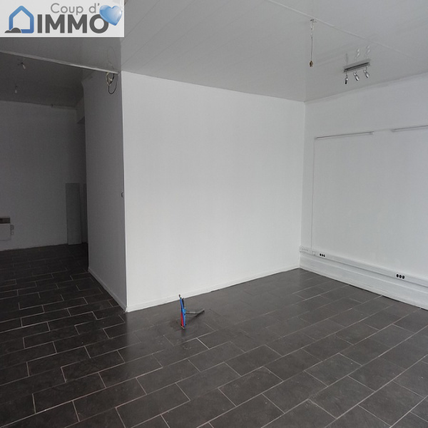 Location Immobilier Professionnel Local commercial Troyes 10000