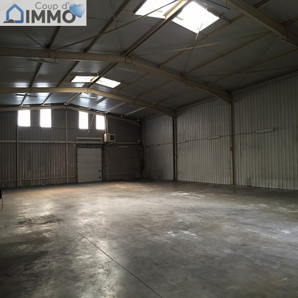 Location Immobilier Professionnel Entrepôt Troyes 10000